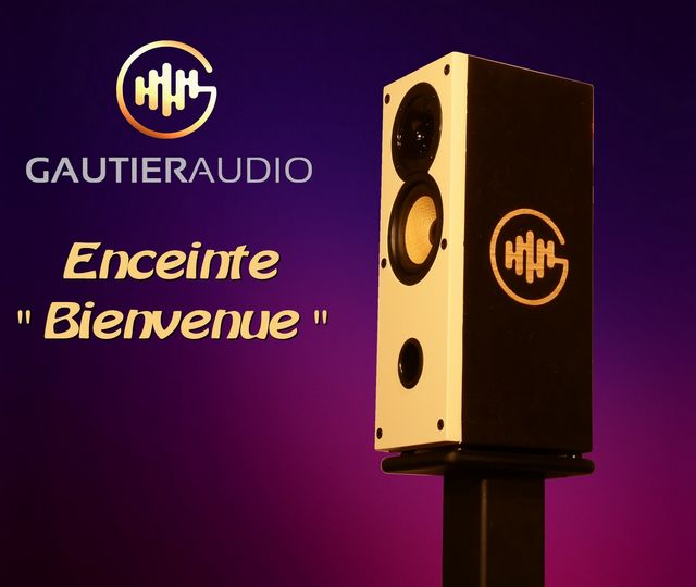 La moins chère des enceintes Gautier Audio, avec amplification, multiroom etc, offre un ensemble High End au rapport qualité/Prix totalement imbattable.