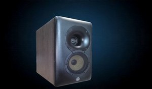 Découvrez les enceintes Passion GX2 en région Parisienne Découvrez les Passion GX2 gautier audio bibliothèque bookshelf speakers en région Parisienne