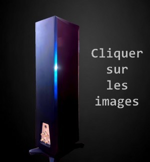 Découvrez les enceintes Passion GX2 en région Parisienne Découvrez les Passion GX2 gautier audio bibliothèque bookshelf speakers en région Parisienne
