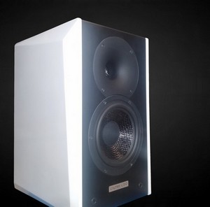 Les enceintes Vision VX2 sont actuellement les plus grosses enceintes bibliothèque disponibles Avec son subwoofer de 30cm, et avec ce que vous connaissez de G.A, nous vous laissons imaginer ce que ce monstre donne, même sur batterie.