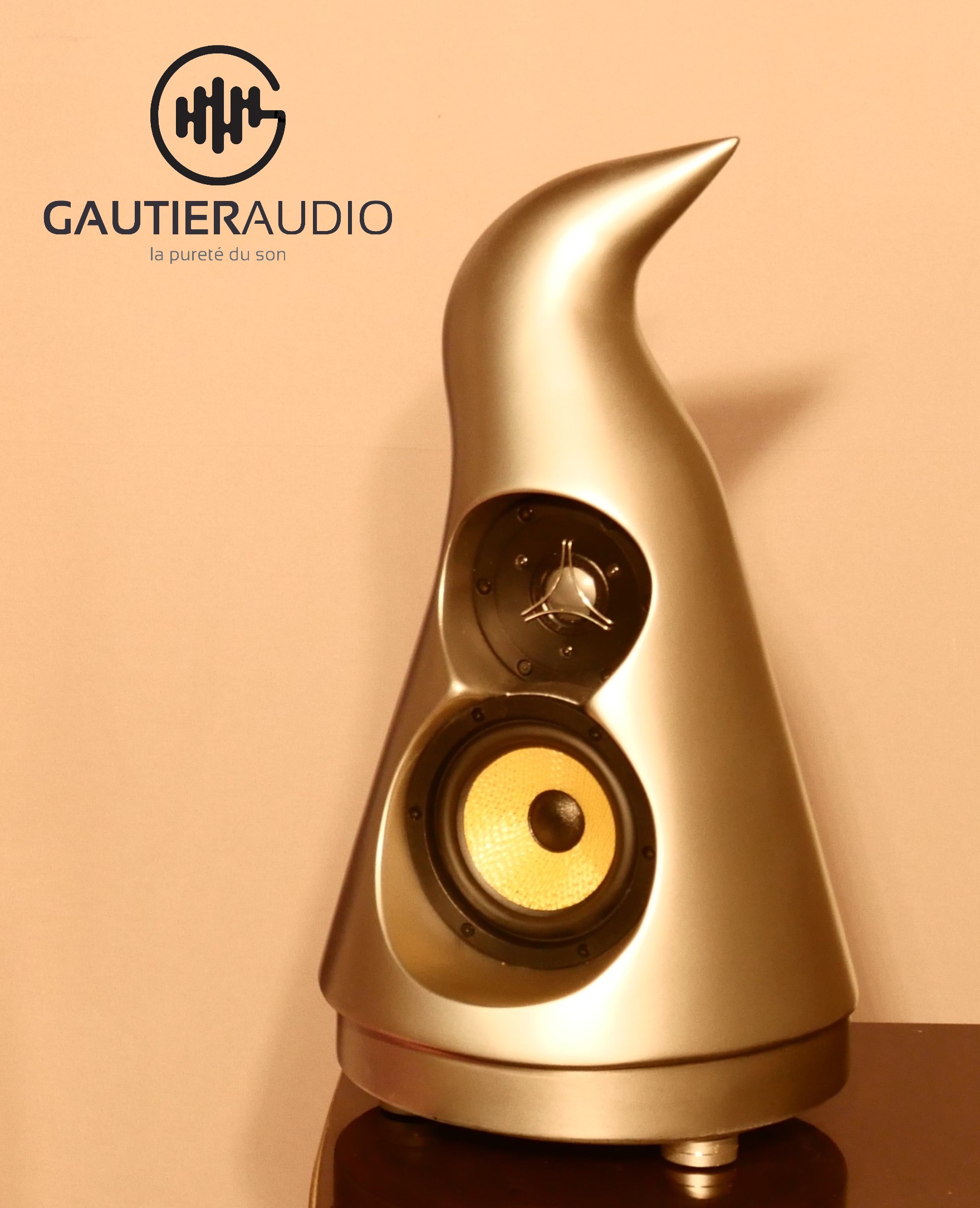 enceinte bibliotheque, les plus belles enceintes de salon, les plus belles enceintes bibliotheque, gautier audio